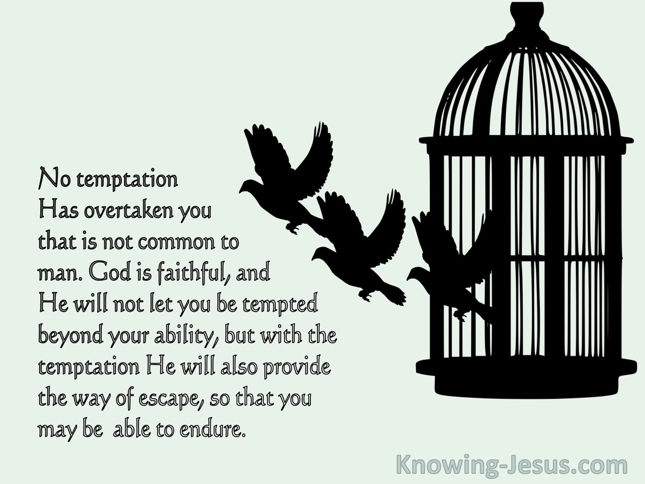 1 Corinthians 10:13 No Temptation Has Overtaken You That Is Not Common To Man (green) bible